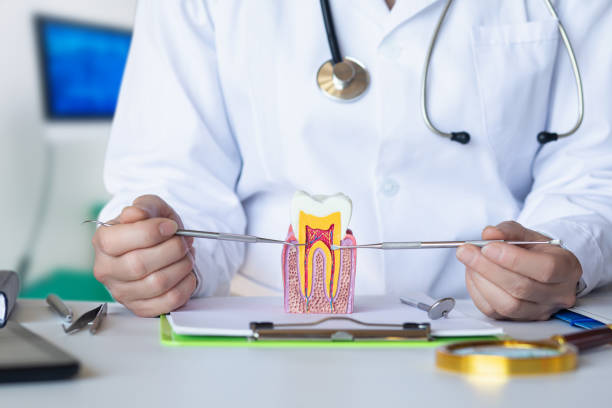 Best Emergency TMJ Treatment in Medina, NY
